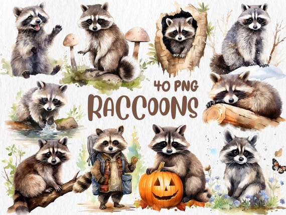Watercolor Raccoon Clipart: 40 Woodland Animal Designs (Digital Download)