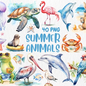 Aquarelle animaux d'été des cliparts | Illustrations de dauphins, de tortues de mer, de méduses, de mouettes et d'étoiles de mer | Téléchargement instantané pour une utilisation commerciale