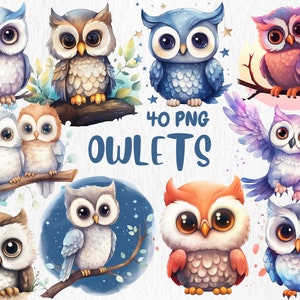 Clipart Chevêchettes à l'aquarelle | Mignons adorables chevêches, bébé chevêche, illustration d'animaux de la forêt et de grange | Téléchargement instantané pour une utilisation commerciale