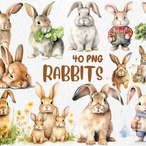 Aquarell Kaninchen Clipart | Süßer Hase, Babykaninchen, süsses Kaninchen, Ostern Tier Illustrationen | Sofort Download für kommerzielle Nutzung