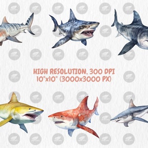 Watercolor Sharks Clipart | Great White Shark, Tiger Shark, Bull Shark, Sea Animal Illustrations | Instant Download for Commercial Use