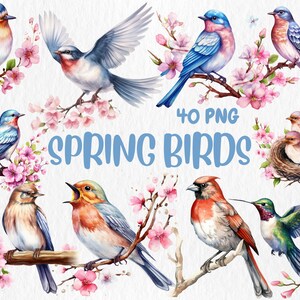 Watercolor Spring Birds Clipart | Robin Bird, Swallow Bird, Hummingbird, Goldfinch Bird Illustrations | Instant Download for Commercial Use