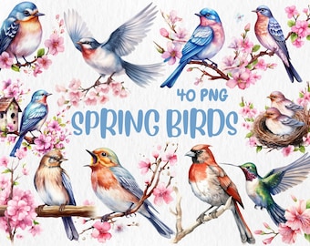 Imágenes prediseñadas de aves primaverales en acuarela: 40 ilustraciones PNG (uso comercial)