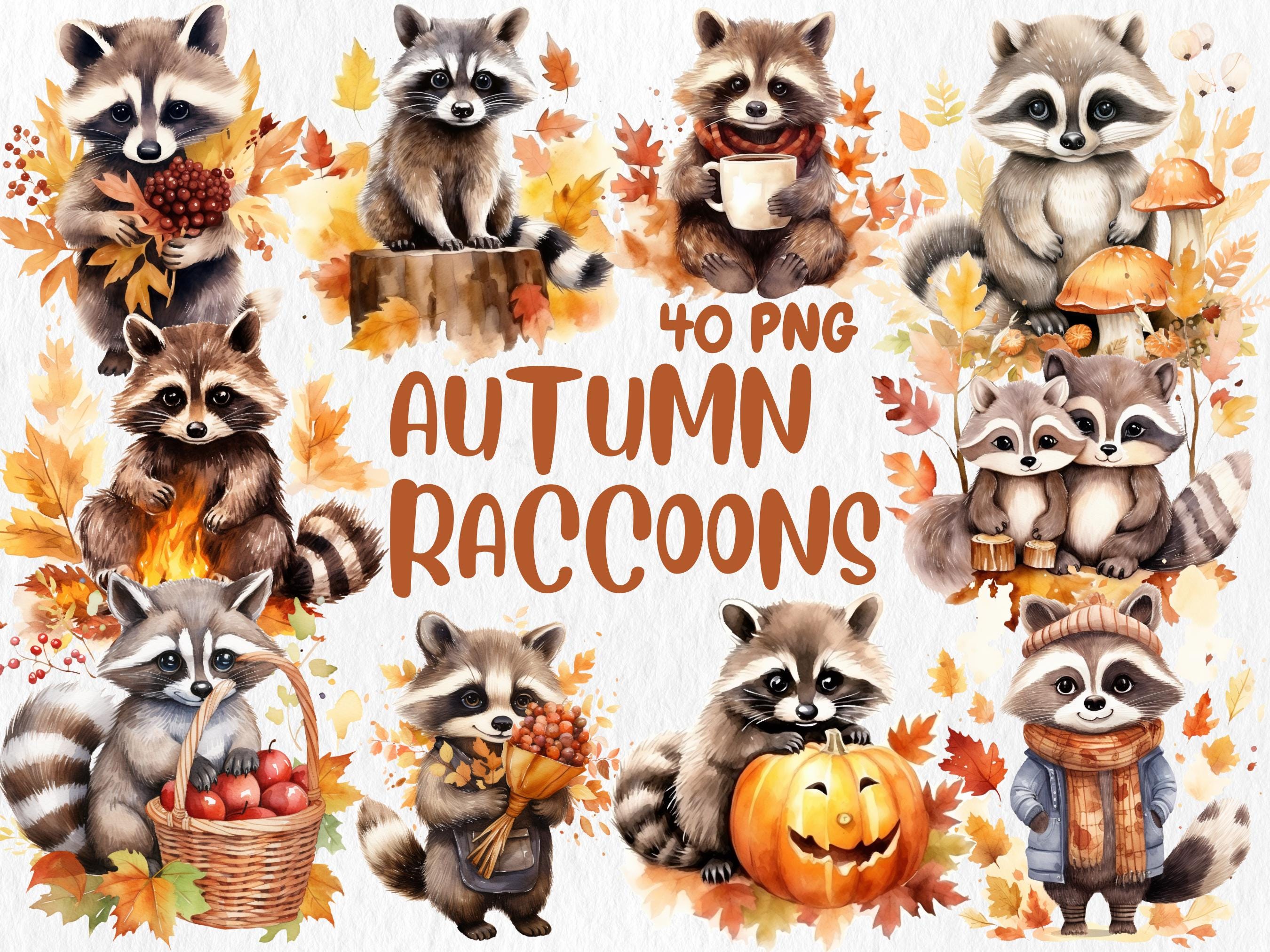 Watercolor Autumn Raccoon Clipart: 40 Fall Animal Designs (digital ...