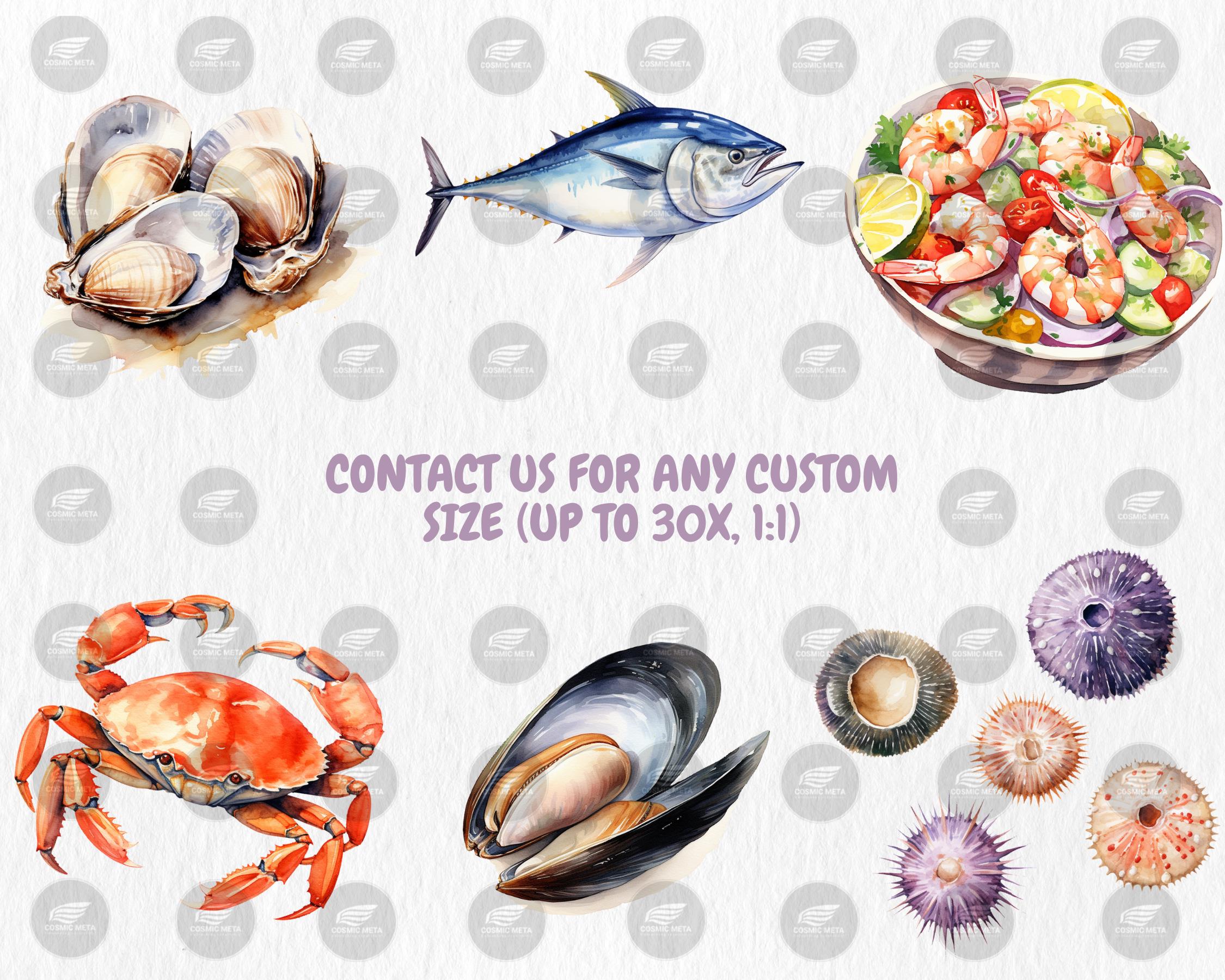 Watercolor Seafood Clipart: Lobster, Crab, Shrimp Illustrations ...