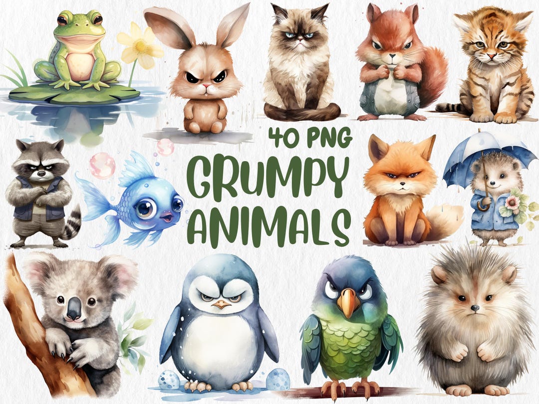 Watercolor Grumpy Animals Clipart: 40 PNG Cartoon Illustrations ...