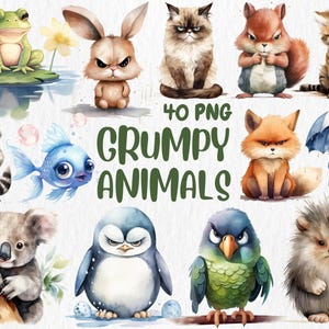 Imágenes prediseñadas de animales gruñones en acuarela / Adorables ilustraciones de animales de dibujos animados con actitud, 40 gráficos PNG, descarga digital, uso comercial