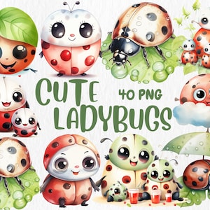 Clipart di coccinelle carine ad acquerello / Clipart e illustrazione di coccinelle adorabili / 40 immagini PNG separate / Download immediato per uso commerciale