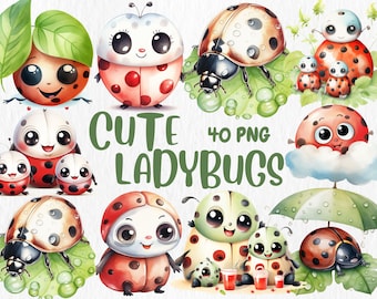 Aquarel lieveheersbeestje clipart | 40 png-illustraties (commercieel gebruik)
