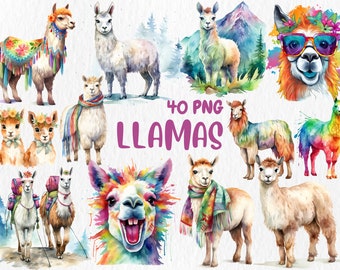 Watercolor Llamas Clipart | Cute Adorable Llama, Alpaca, Party Animal, Cactus Illustrations | Instant Download for Commercial Use