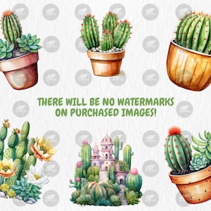 Watercolor Cactuses Clipart | Cacti, Succulent, Wild West, Mexican Floral, Desert Cactus Illustrations | Instant Download for Commercial Use
