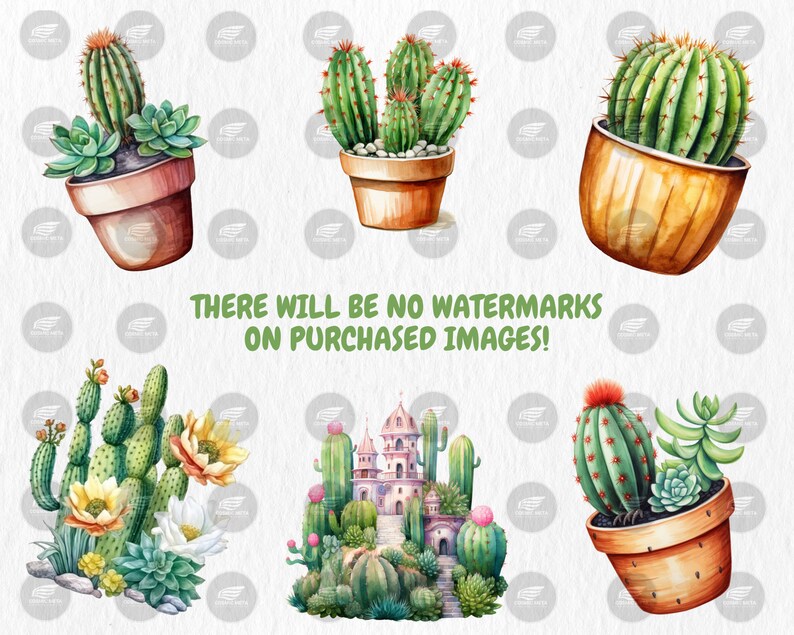 Watercolor Cactuses Clipart | Cacti, Succulent, Wild West, Mexican Floral, Desert Cactus Illustrations | Instant Download for Commercial Use