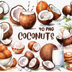 Imágenes prediseñadas de cocos en acuarela / Comida tropical, fruta de verano, bebida de coco, ilustraciones de cócteles / Descarga instantánea para uso comercial