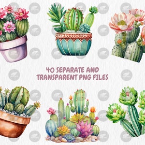Watercolor Cactuses Clipart | Cacti, Succulent, Wild West, Mexican Floral, Desert Cactus Illustrations | Instant Download for Commercial Use