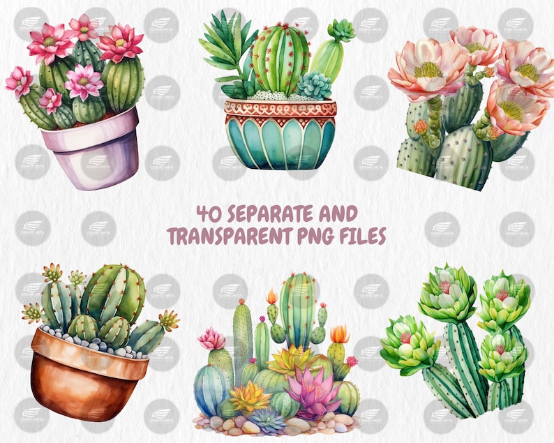 Watercolor Cactuses Clipart | Cacti, Succulent, Wild West, Mexican Floral, Desert Cactus Illustrations | Instant Download for Commercial Use