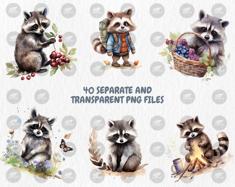 Watercolor Raccoons Clipart | Digital Set of 40 Raccoon Designs, Cute Woodland Animal Illustrations | Instant Download for Commercial Use