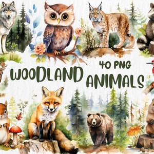 Aquarelle animaux de la forêt des cliparts | Renard, Cerf, Écureuil, Chouette, Lapin, Hérisson, 40 images PNG séparées | Téléchargement instantané, utilisation commerciale
