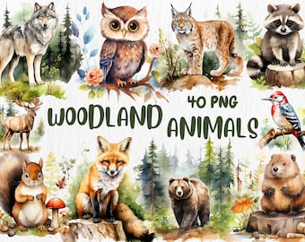 Watercolor Woodland Animals Clipart: 40 PNG Images (Instant Download)