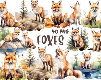 Zorros en acuarela: 40 ilustraciones PNG de animales del bosque (descarga digital)