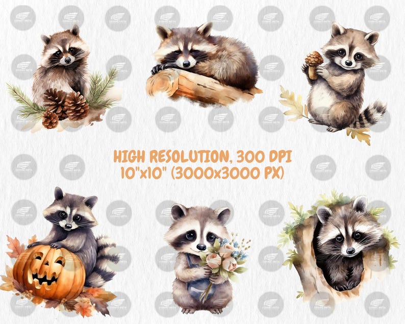 Watercolor Raccoons Clipart | Digital Set of 40 Raccoon Designs, Cute Woodland Animal Illustrations | Instant Download for Commercial Use