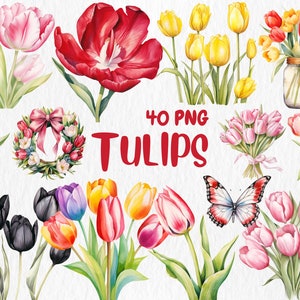 Clipart aquarel tulpen | Lentebloem, bloemenboeket, rode, gele, witte tulpillustraties | Directe download voor commercieel gebruik