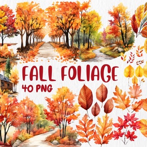 Clipart de folhagem de outono em aquarela | Ilustrações de folhagem de outono | Clipart de outono pintado, 40 gráficos PNG, download instantâneo para uso comercial