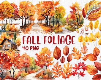 Watercolor Fall Foliage Clipart: 40 PNG Autumn Graphics (Commercial Use)