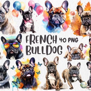 Aquarel Franse Bulldog-clipart | Schattige hondafbeeldingen voor knutselen en decoreren met huisdierthema, 40 png-bestanden | Directe download voor commercieel gebruik