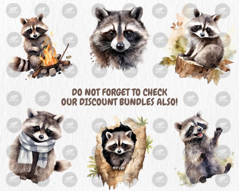 Watercolor Raccoons Clipart | Digital Set of 40 Raccoon Designs, Cute Woodland Animal Illustrations | Instant Download for Commercial Use