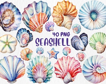 Watercolor Seashell Clipart: Nautical Illustrations (Instant Download)