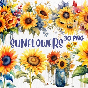 Aquarelle tournesols Clipart | Clipart tournesol peint | Illustrations de tournesol | Images PNG, téléchargement immédiat pour usage commercial