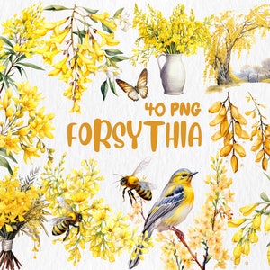 Aquarell Forsythie Clipart | Frühlingsblume, Gelbe Osterblume, Blumenstrauß Illustrationen | Sofort Download für kommerzielle Nutzung