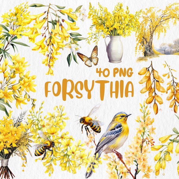 Watercolor Forsythia Clipart | Spring Flower, Yellow Easter Flower, Floral Bouquet Illustrations | Instant Download for Commercial Use