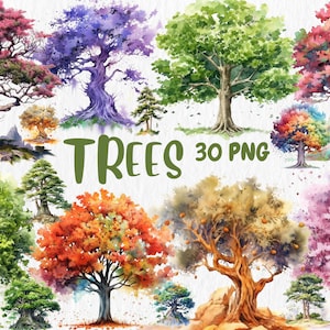 Clipart aquarel bomen | Geschilderde kleurrijke boomclipart | Boom, bladerenillustraties | PNG-afbeeldingen | Directe download voor commercieel gebruik