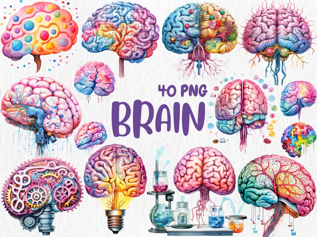 水彩画の脳のクリップアート：40種類のカラフルなPNGグラフィック（デジタルダウンロード） - Etsy 日本, image size:1080x810