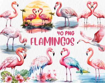 Watercolor Flamingos Clipart: Tropical Bird Illustrations (Instant Download)
