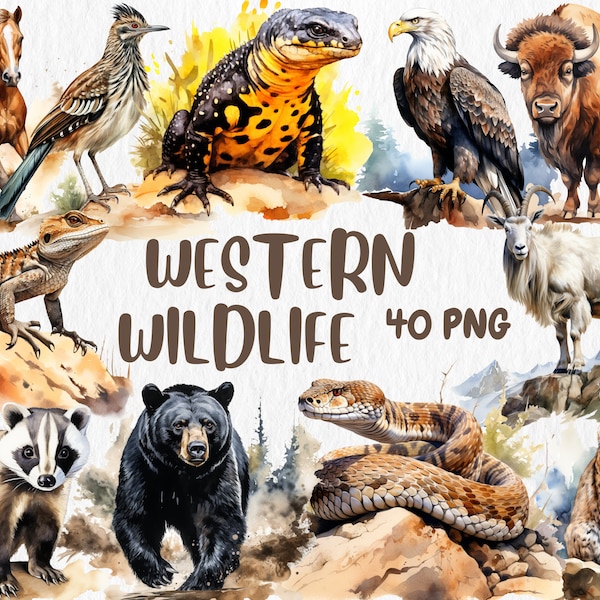 Watercolor Western Wildlife Clipart | Coyote, Bison, Golden Eagle, American Animal Illustrations | Instant Download for Commercial Use