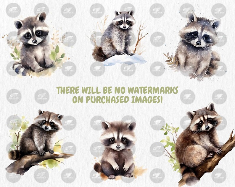 Watercolor Raccoons Clipart | Digital Set of 40 Raccoon Designs, Cute Woodland Animal Illustrations | Instant Download for Commercial Use