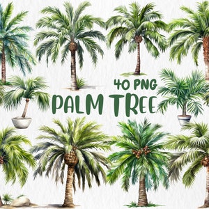 Imágenes prediseñadas de palmeras en acuarela / Verano, palmeras cocoteras, palmeras reales, ilustraciones de árboles tropicales / Descarga instantánea para uso comercial