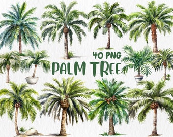 Watercolor Palm Tree Clipart: Tropical Illustrations (Instant Download)