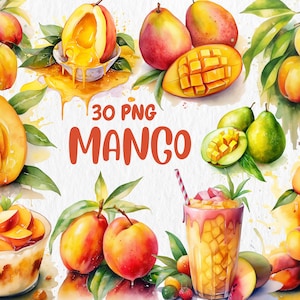 Aquarell Mango Clipart | Gemalte Mango Clipart | Reife Mango, Grüne Mango Illustrationen | PNG Grafiken, sofortiger Download für kommerzielle Nutzung