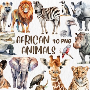 Aquarel Afrikaanse dieren clipart | Illustraties leeuw, hyena, cheeta, giraf, zebra, krokodil | Directe download voor commercieel gebruik