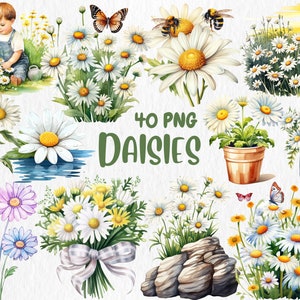 Clipart di margherite acquerellate / Fiore primaverile, bouquet floreale, fiore bianco, ghirlanda, illustrazioni di margherite / Download immediato per uso commerciale