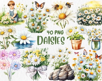 Watercolor Daisy Clipart: Spring Floral Bouquet Illustrations (Instant Download)