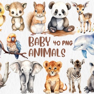 Clipart aquarelle de bébés animaux | Illustrations adorables mignonnes d'éléphant, de panda, de lion, de pingouin, de dauphin | Téléchargement instantané pour une utilisation commerciale