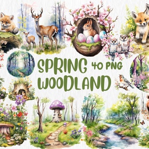 Imágenes prediseñadas de bosque primaveral en acuarela / Animales del bosque, escenas de la naturaleza, búhos, ilustraciones de decoración de guarderías / Descarga instantánea para uso comercial
