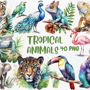 Clipart de animais tropicais em aquarela | Flamingo, papagaio, camaleão, sapo, ilustração de animal da selva | Download instantâneo para uso comercial