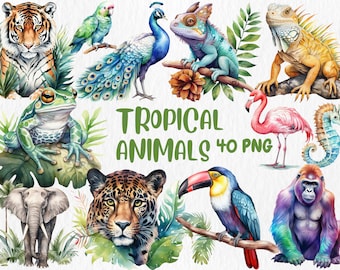 Clipart animaux tropicaux à l'aquarelle | Flamant rose, perroquet, caméléon, grenouille, animal de la jungle Illustration | Téléchargement instantané pour une utilisation commerciale