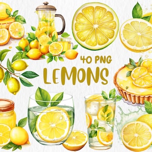 Aquarell Zitronen Clipart | Frische Zitronenscheibe, Zitronenzweig und Blatt, Limonade, Cocktail Illustrationen | Sofort Download für kommerzielle Nutzung