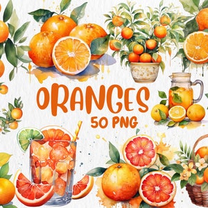 Acuarela Naranjas Clipart / 50 Frutas de Naranja Separadas, Jugo, Rebanada, PNGs de Árbol / Ilustraciones de Naranja / Descarga Instantánea para Uso Comercial